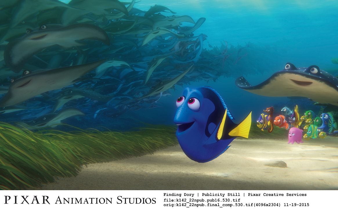 Procurando Dory : Fotos