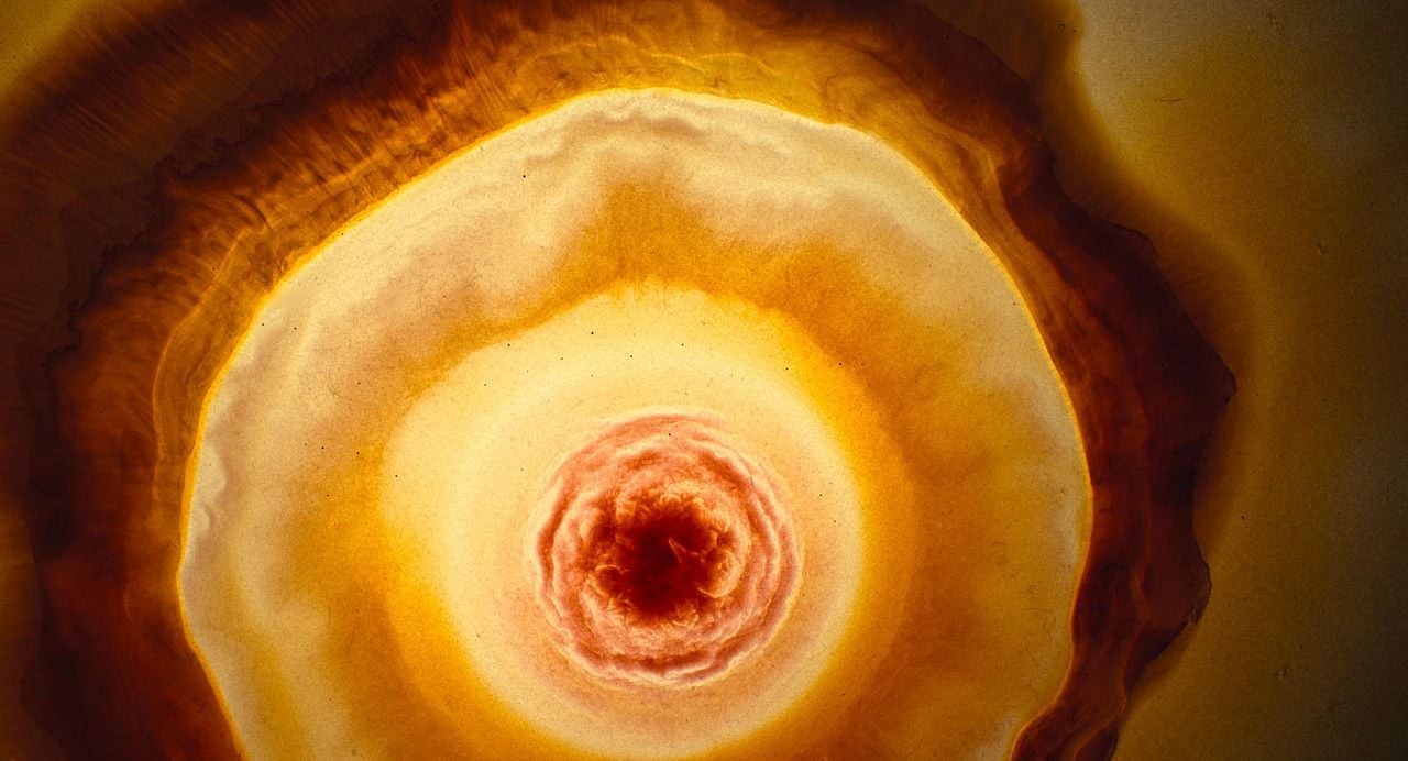 Voyage of Time: Life's Journey : Fotos