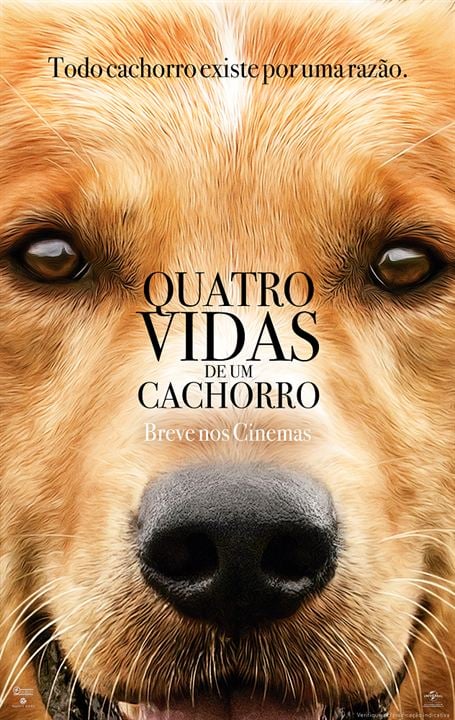Quatro Vidas de um Cachorro : Poster
