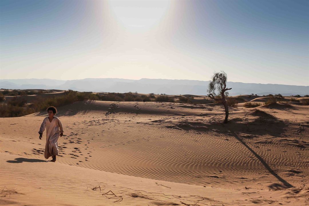 O Lobo do Deserto : Fotos