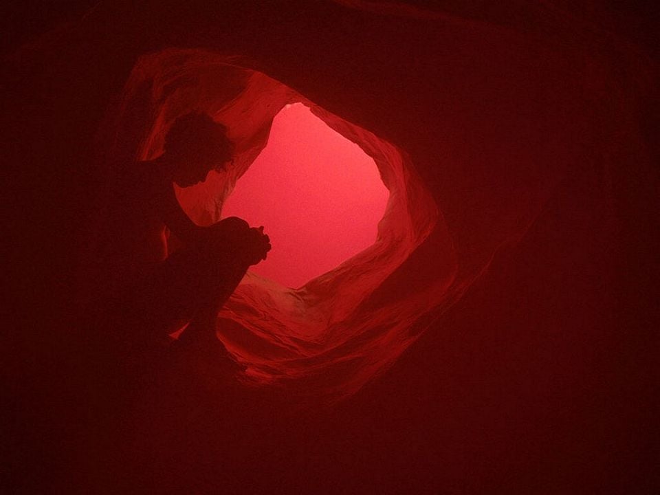 Tenemos la carne : Fotos Diego Gamaliel