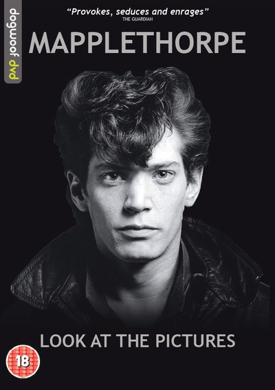 Mapplethorpe: Look At The Pictures : Poster