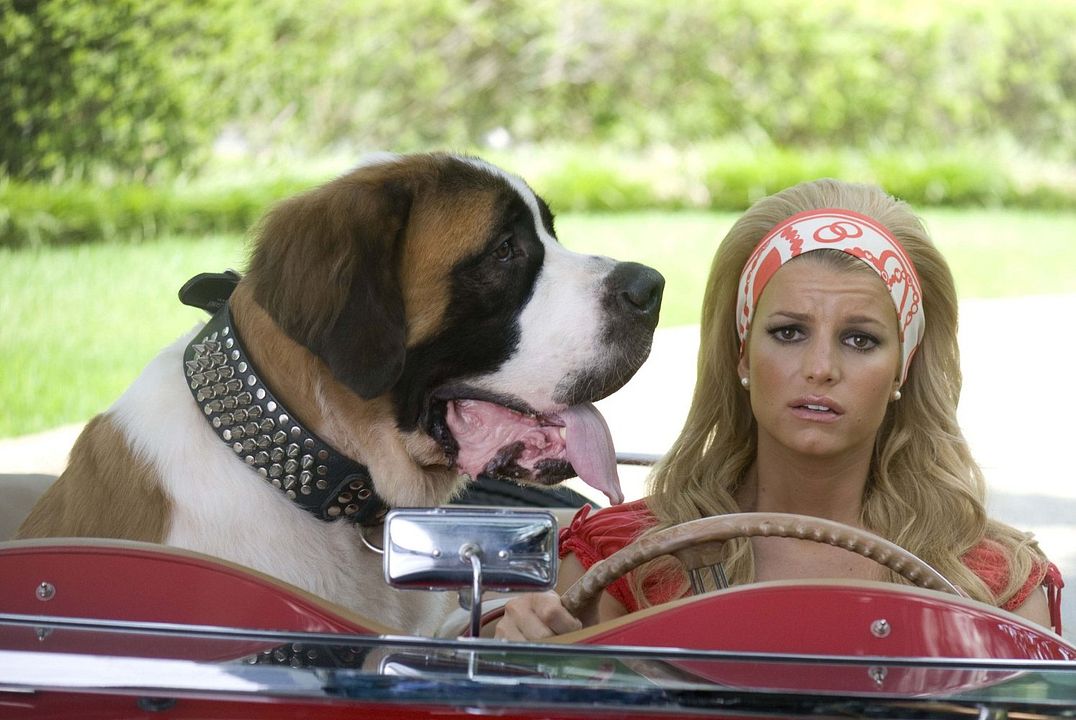 A Recruta Hollywood : Fotos