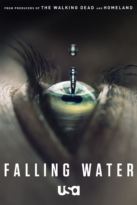 Falling Water : Poster
