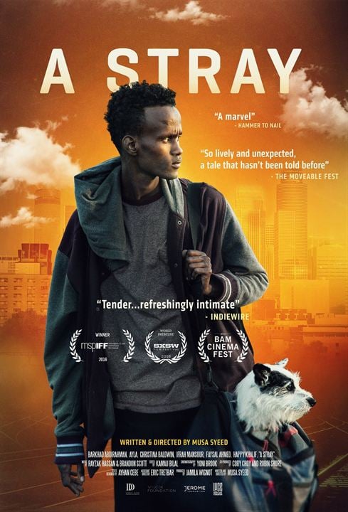 A Stray : Poster