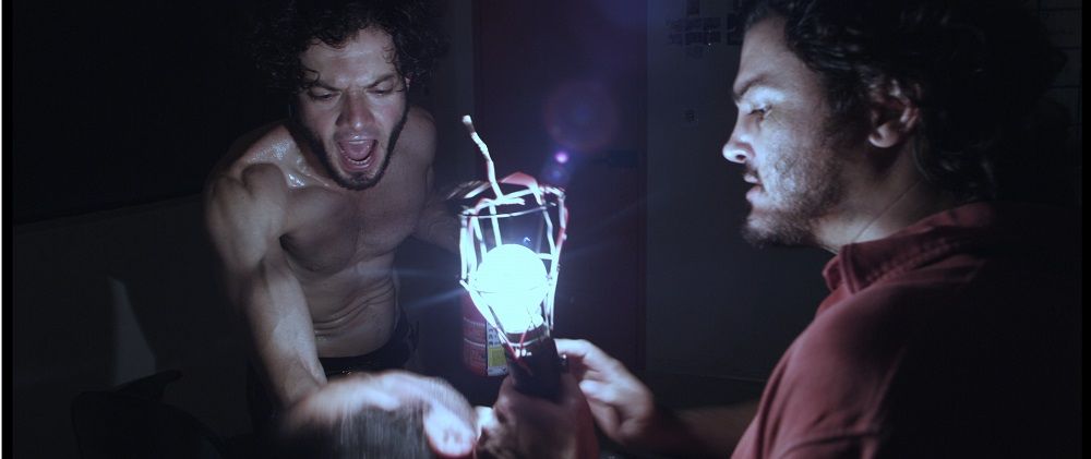 Toro : Fotos