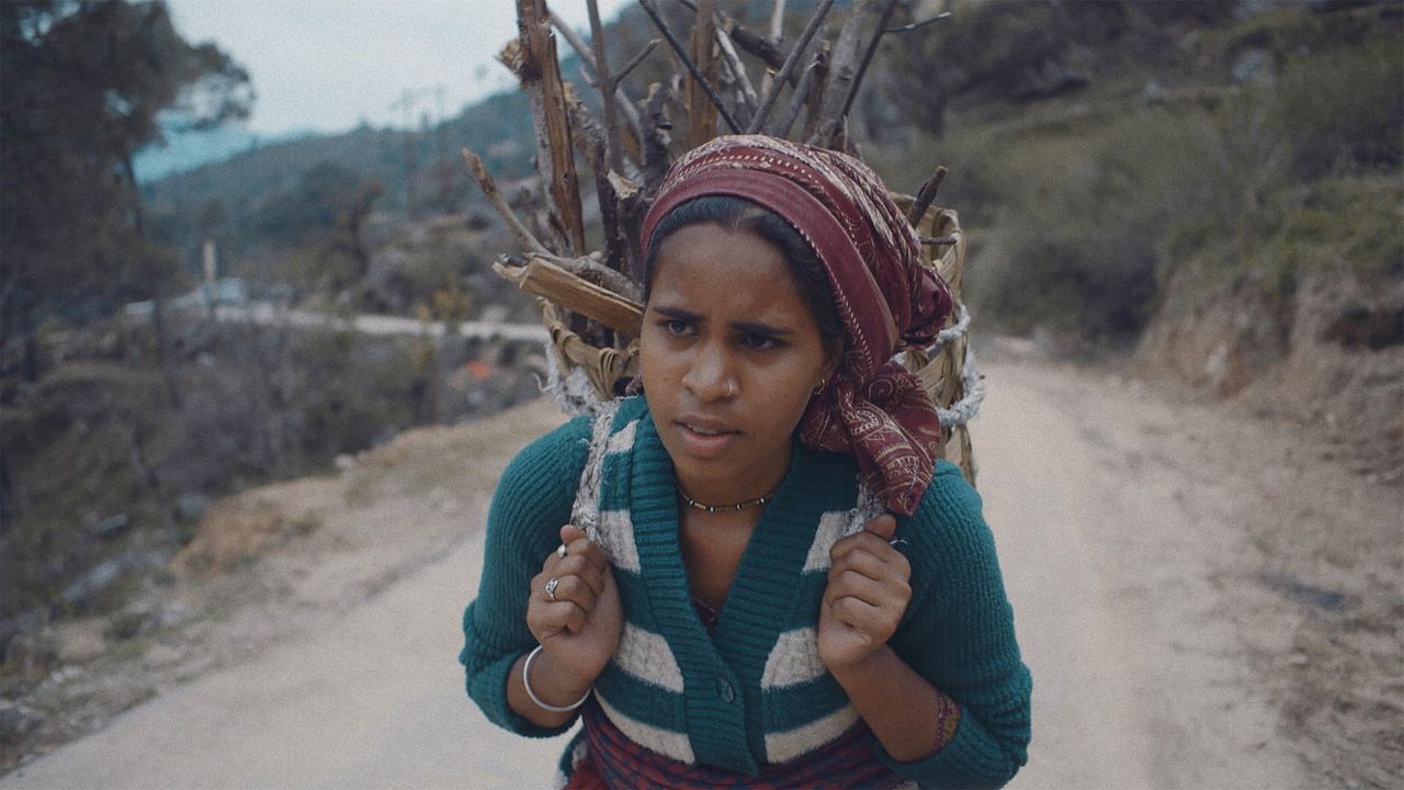 Para Onde, Senhora? : Fotos