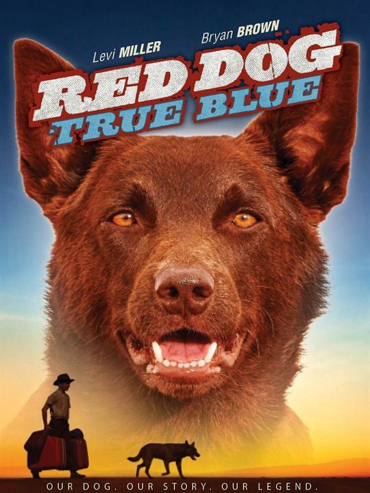 Red Dog: True Blue : Poster