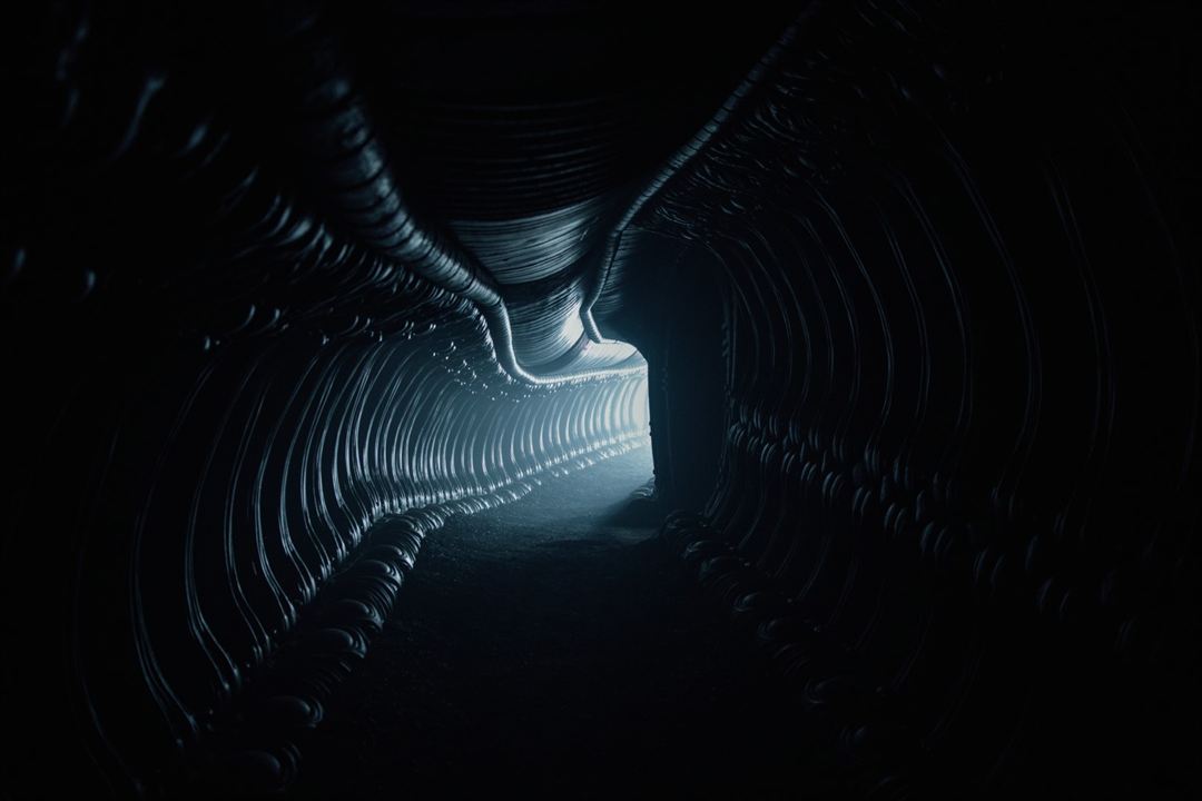 Alien: Covenant : Fotos