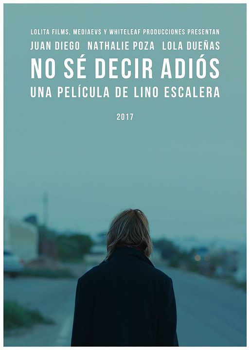 Não Sei Dizer Adeus : Poster
