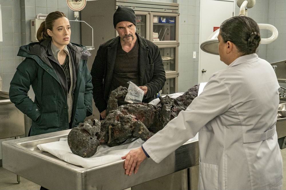 Chicago P.D. Distrito 21 : Fotos Marina Squerciati, Elias Koteas
