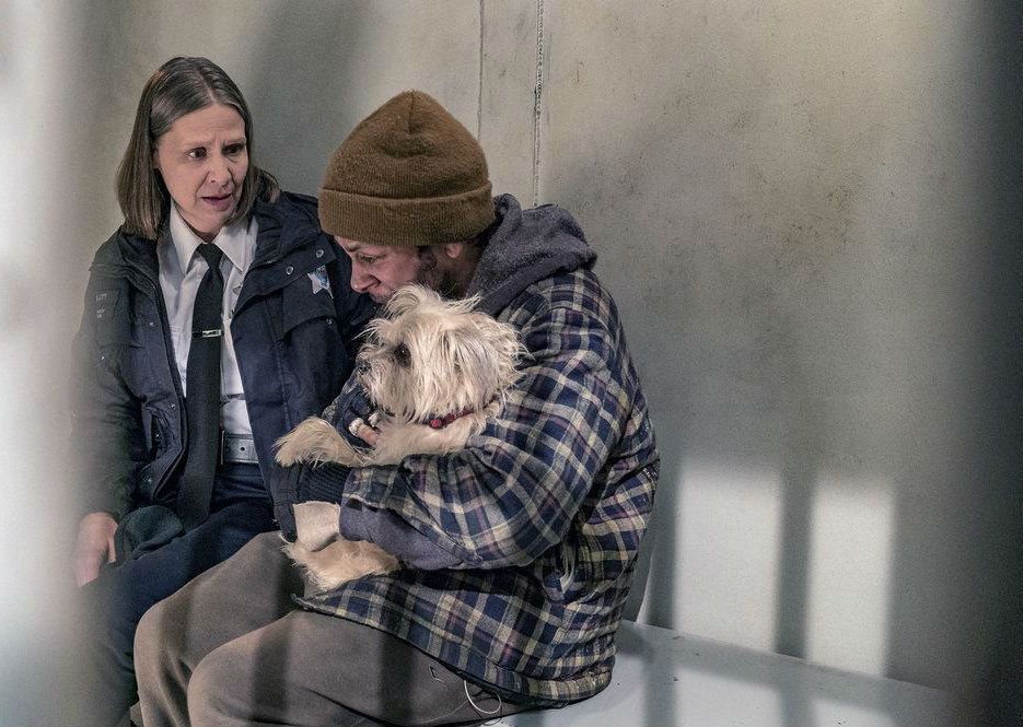 Chicago P.D. Distrito 21 : Fotos Amy Morton