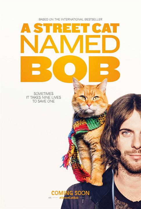 Um Gato de Rua Chamado Bob : Poster