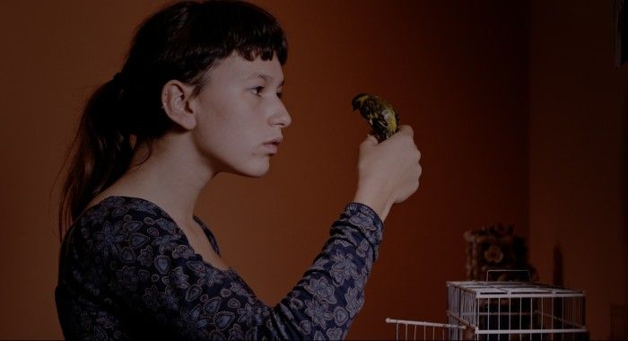 Colo : Fotos Alice Albergaria Borges