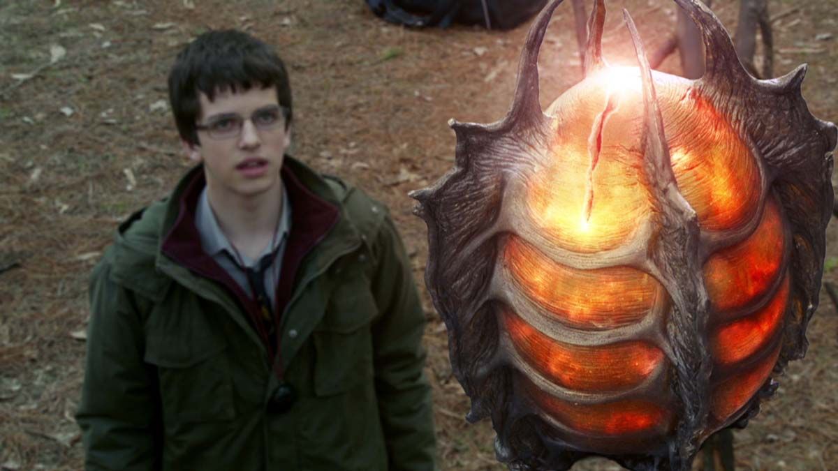 Fotos William McKenna