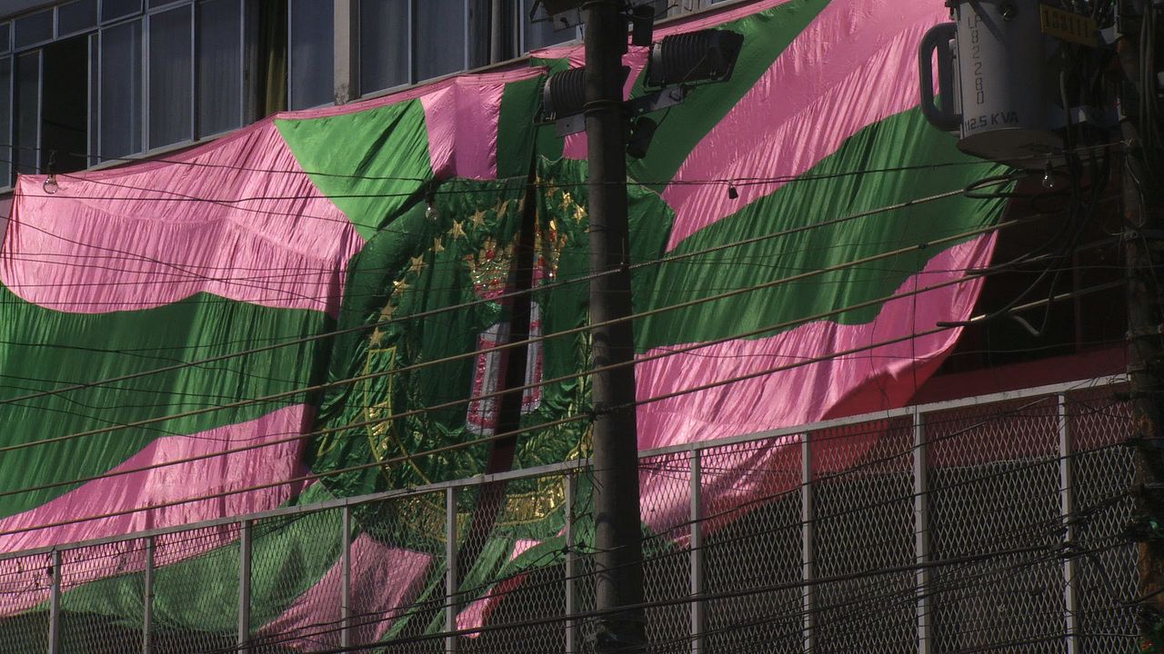 Memória em Verde e Rosa : Fotos