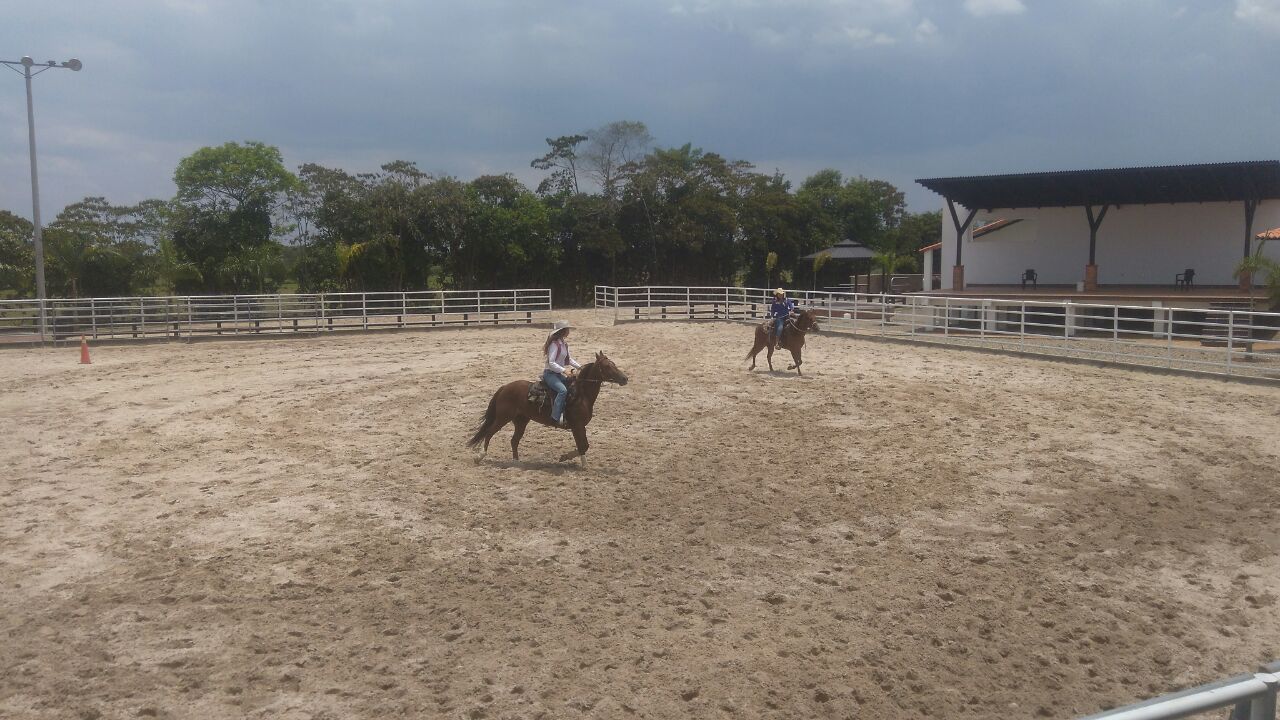 As Amazonas : Fotos