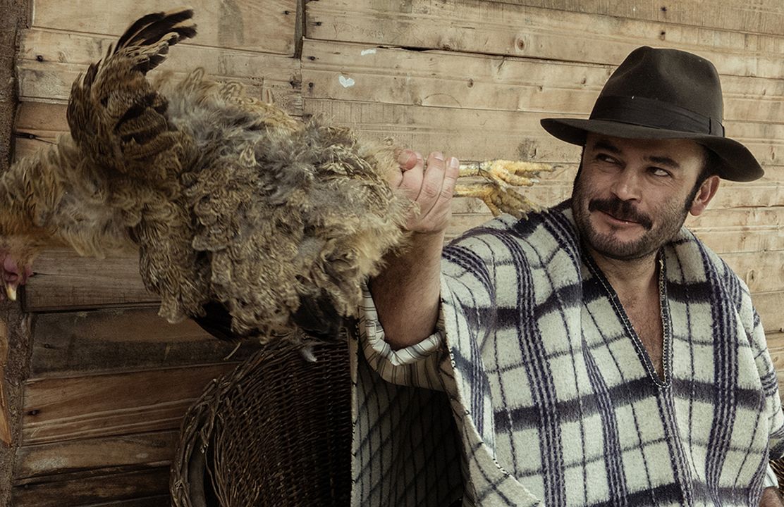 La Mujer del Animal : Fotos