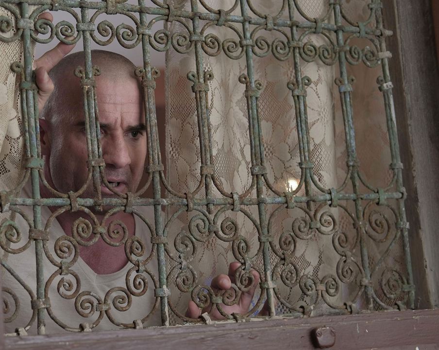 Prison Break : Fotos Dominic Purcell