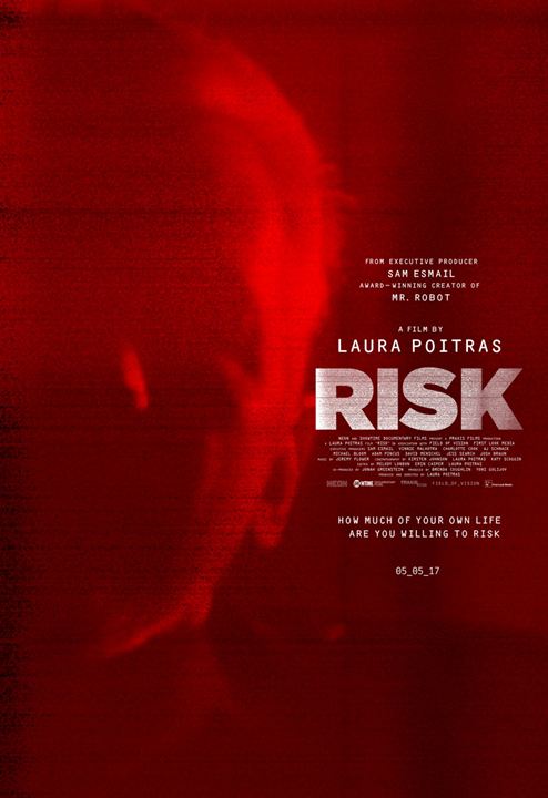 Risk : Poster