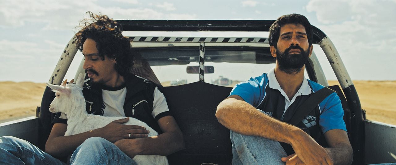 Ali, the Goat and Ibrahim : Fotos Ahmed Magdy