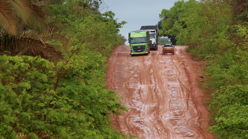 Para Além da Curva da Estrada : Fotos