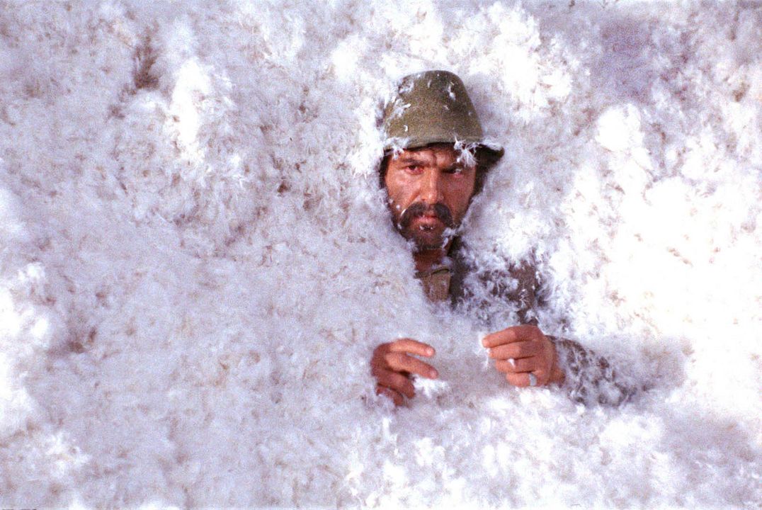 I Even Met Happy Gypsies : Fotos