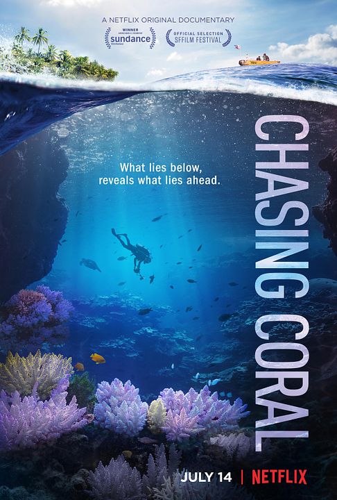 Chasing Coral : Poster