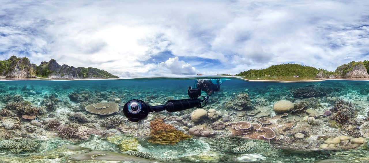 Chasing Coral : Fotos