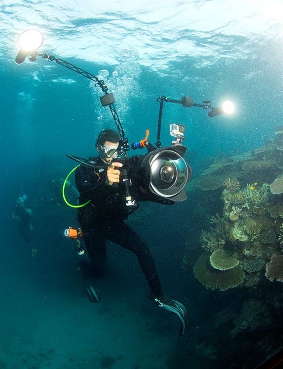 Chasing Coral : Fotos Jeff Orlowski