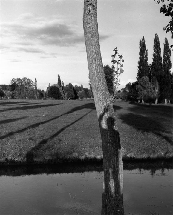 Robert Doisneau - O Maior Fotógrafo do Século : Fotos