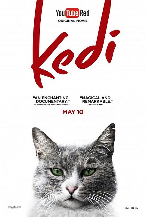 Gatos : Poster