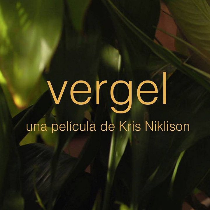 Vergel : Fotos