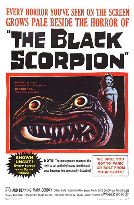 O Escorpião Negro : Poster