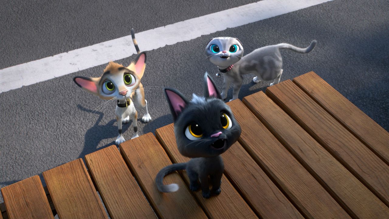 Rudolph, o Gatinho Preto : Fotos