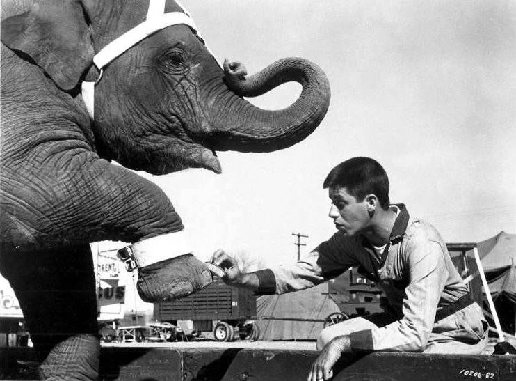 O Rei Do Circo : Fotos
