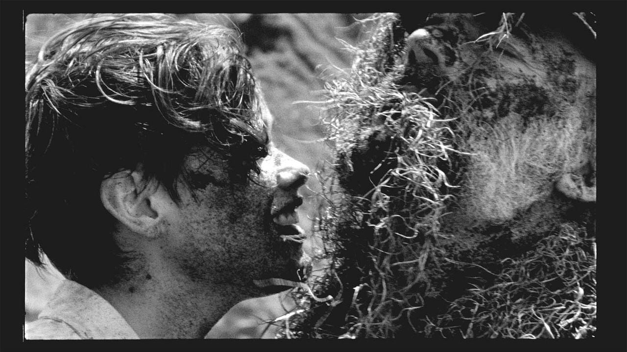 Os Garotos Selvagens : Fotos Mathilde Warnier