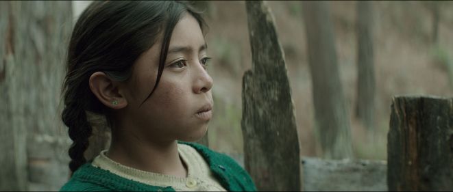 La casa más grande del mundo : Fotos