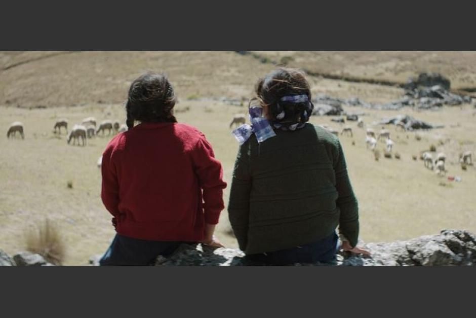 La casa más grande del mundo : Fotos