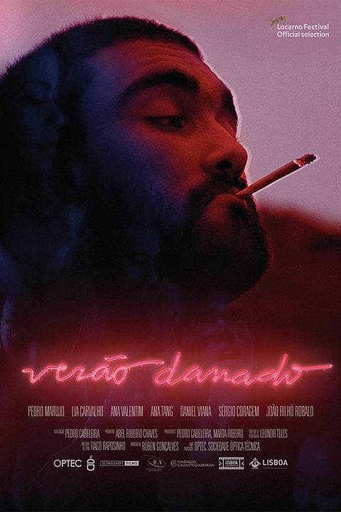 Verão danado : Poster