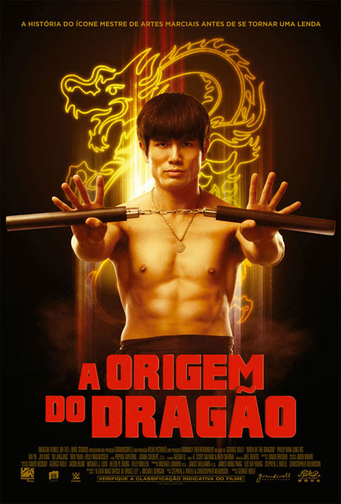 A Origem do Dragão : Poster