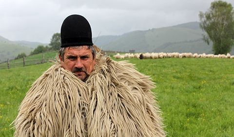Minha Transilvânia - Vencedores e Perdedores : Fotos