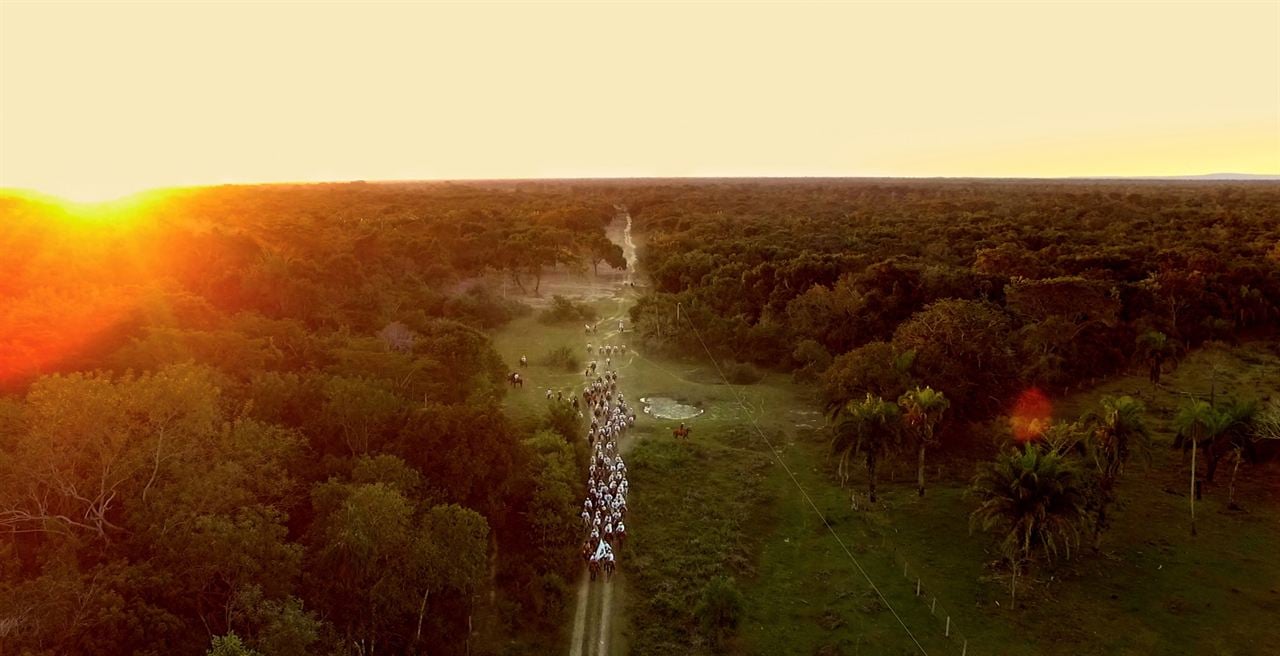 Pantanal, a Boa Inocência de Nossas Origens : Fotos
