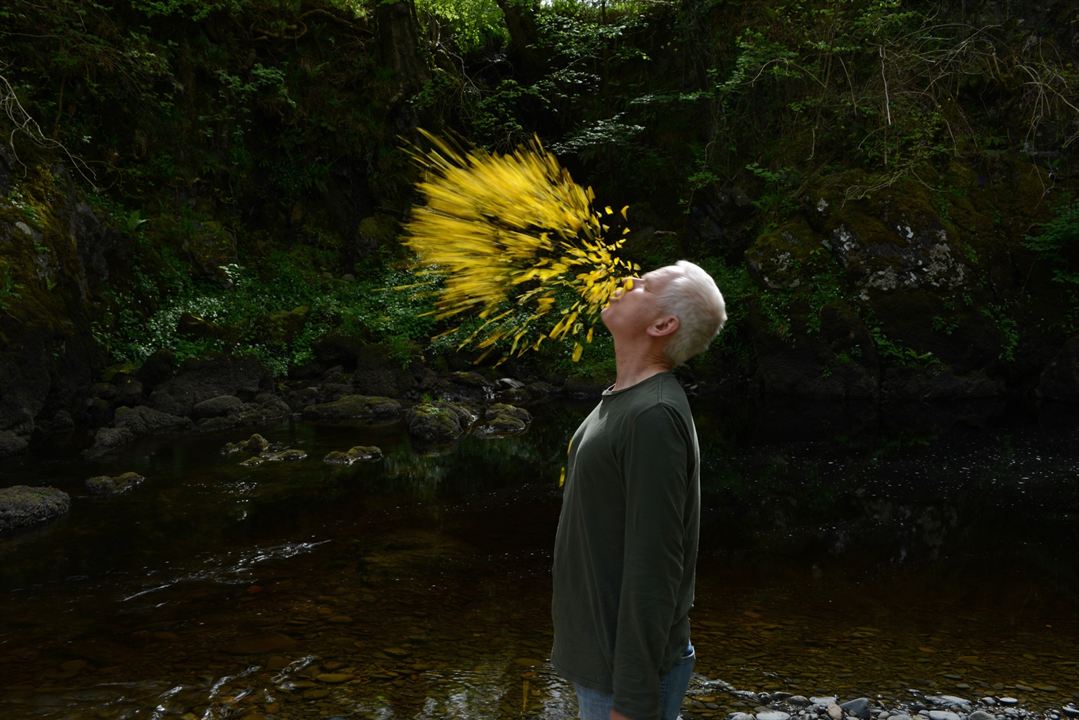 Leaning Into the Wind: Andy Goldsworthy : Fotos Andy Goldsworthy