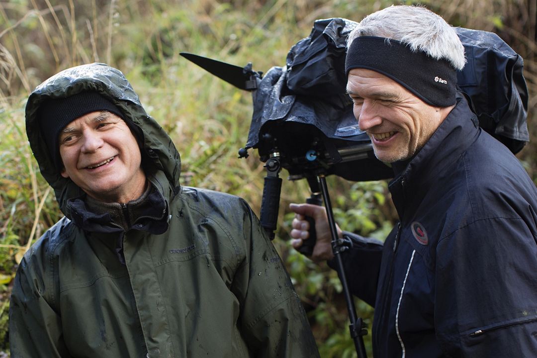 Leaning Into the Wind: Andy Goldsworthy : Fotos Andy Goldsworthy