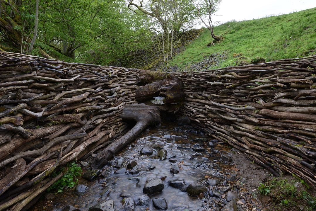 Leaning Into the Wind: Andy Goldsworthy : Fotos