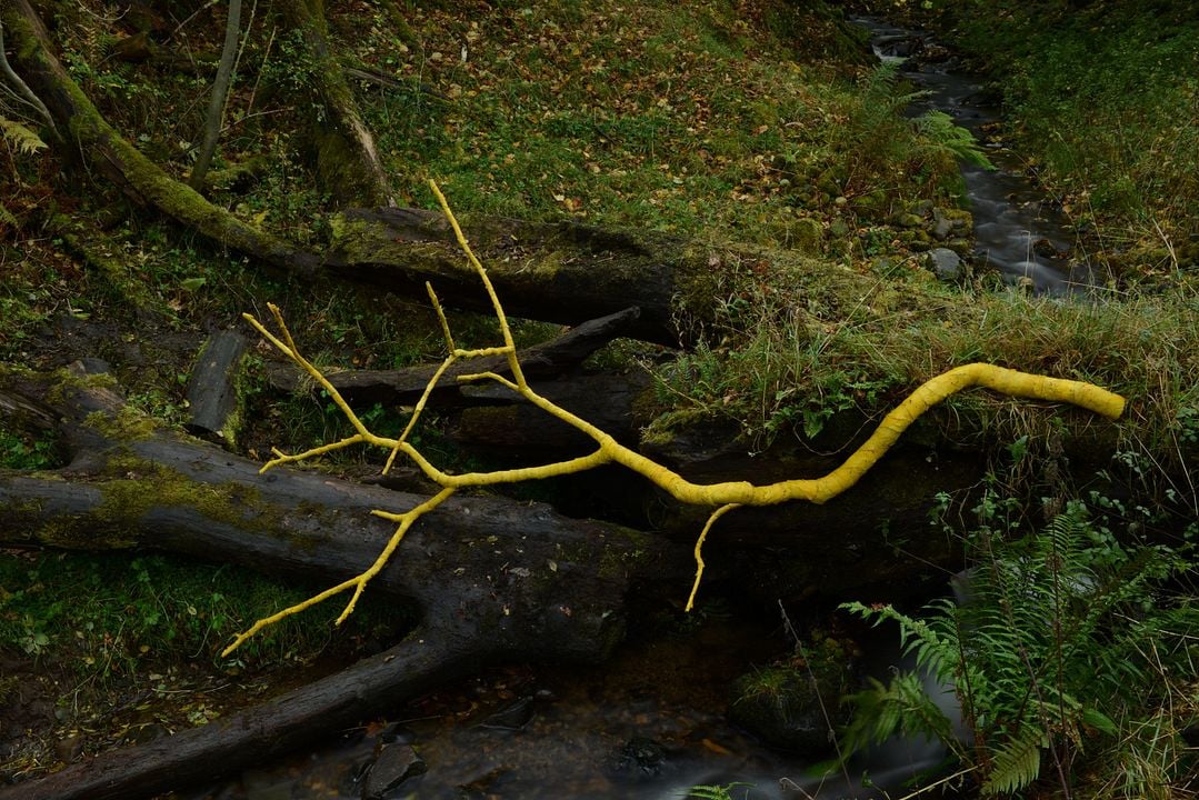 Leaning Into the Wind: Andy Goldsworthy : Fotos