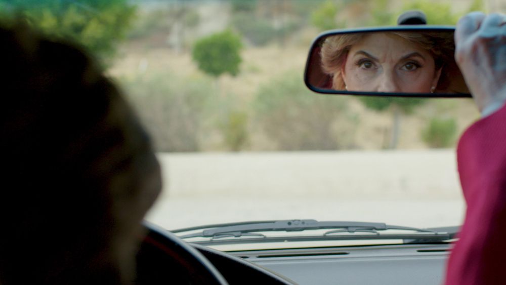 Seeing Allred : Fotos