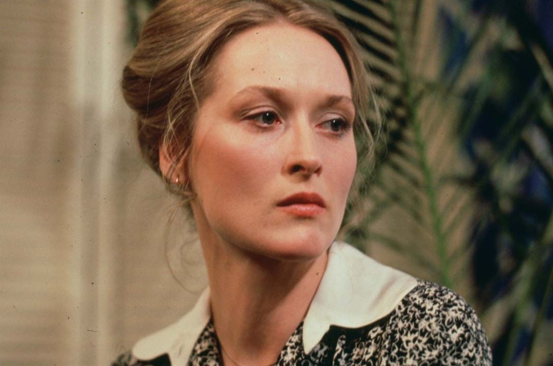 A Vida Íntima de um Político : Fotos Meryl Streep