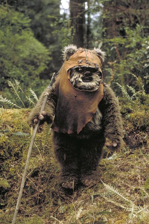 Star Wars: O Retorno de Jedi : Fotos